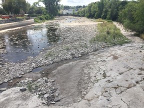 Intelligencer photo
The Moira River remains quite dry as the region remains under a level three low water condition. Residents are being asked to continue to reduce their water usage by 50 per cent.