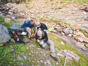 Volunteers assisted Parks Canada staff in researching the variety of species found in meltwater from permanent snow patches and springs during last week’s Bioblitz. | Iain Robert Reid photo/Parks Canada