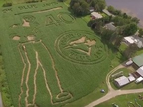 Hunter Brothers Farm commemorating the legendary Jose Bautista bat flip (YouTube/Hunter Brothers Farm)