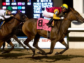 Spring Tempest during the Muskoka Stakes at Woodbine on Aug. 31, 2016. (Michael Burns)