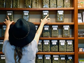In this Thursday, Aug. 11, 2016 file photo, an employee arranges glass display containers of marijuana on shelves at a retail and medical cannabis dispensary in Boulder, Colo. According to survey data published online Wednesday, Aug. 31, 2016, in the scientific journal, The Lancet Psychiatry, marijuana use is becoming more accepted among adults as states have loosened pot laws. (AP Photo/Brennan Linsley)