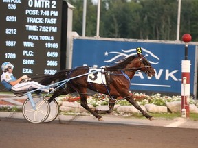 State Treasurer, the 2015 O’Brien Award horse of the year, returns to defend his Canadian Pacing Derby crown Saturday at Mohawk Racetrack. (Ray Cotolo/new Image Media)