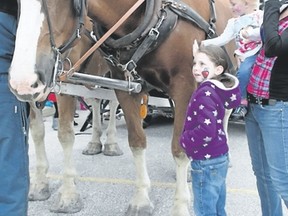 Petrolia's Claire Jardine will once again be bringing Belgian horses to Trinity Anglican Church's annual fall fair, providing free horse and carriage rides for all. The event will be held this Saturday. Submitted photo.