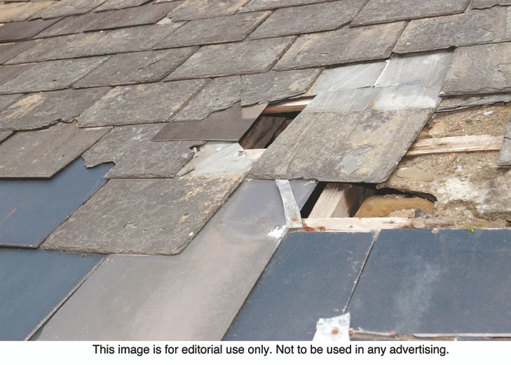 What to look for during roof inspections Ottawa Sun