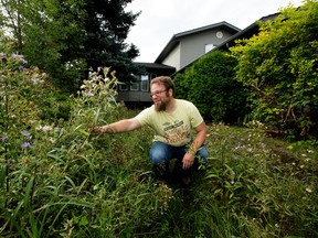 Subject did not want his address published Craig Schlegelmilch poses for a photo in his naturalized front yard, in south Edmonton on Thursday Aug. 25, 2016. Photo by David Bloom
