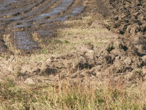 Biosolids spread on a field in Alberta.