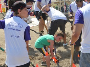 Major companies like Telus are encouraging volunteers to take part in 
community garden development projects across the country.