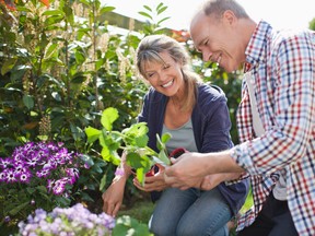 With the soil still warm and autumn rain soon to come, now is the ideal time to plant trees, shrubs and evergreens.