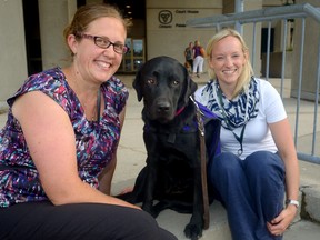 Vicki Zettler of National Service Dogs joins Merel, a black Lab-Bernese mountain dog mix, and Rachel Crawford, co-ordinator of the child witness program, at the London courthouse Thursday. Merel, a trained service dog, will offer a soothing presence for children testifying in court. (MORRIS LAMONT, The London Free Press)