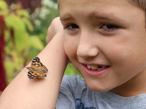 Vincent Gilbert, 8, takes part in a community butterfly release at Bell Park in Sudbury, Ont. on Saturday September 10, 2016. The event was held on World Suicide Prevention Day and it was presented by the North East Suicide Prevention Network. John Lappa/Sudbury Star/Postmedia Network