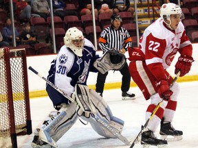 Soo Greyhounds centre Liam Hawel and Sudbury Wolves goaltender Jake McGrath watch the play during first-period Ontario Hockey League exhibition play Sunday, Sept. 11, 2016 at Essar Centre in Sault Ste. Marie, Ont. JEFFREY OUGLER/SAULT STAR/POSTMEDIA NETWORK