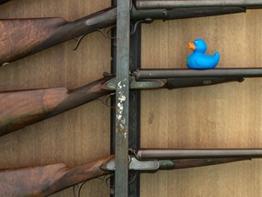 A blue plastic duck is perched on a display of historic shotguns at the Chatsworth Country Fair in the grounds of Chatsworth House, near Bakewell in northern England on September 2, 2016.  AFP PHOTO / OLI SCARFFOLI SCARFF/AFP/Getty Images