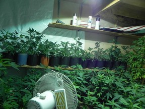 St. Pierre-Jolys RCMP in Manitoba have charged two people after dismantling a marijuana grow operation inside a Lorette home on Sept. 7, 2016. (RCMP PHOTO)