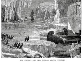 Vintage engraving from 1878 showing HMS Erebus and HMS Terror sailing past icebergs. The Terror and HMS Erebus were part John Franklin's doomed expedition to the Arctic in 1845.