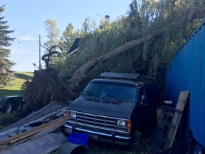 Bruce Bell/Staff reporter
A violent storm in Prince Edward County sent a large willow tree crashing down against the Ridge Road home of Dean and Patti Mantle on Saturday evening. A large steel storage container took the bulk of the tree's weight, sparing a nearby van.