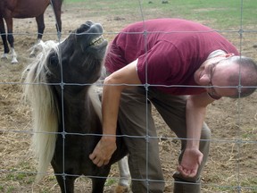 Ed Vannatter gives Barney, a rescued miniature horse, a good scratch at Froghollow Farm Sanctuary. (HEATHER RIVERS, Sentinel-Review)