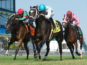 Jockey Gary Boulanger guides Glenville Gardens to victory in the (Grade II) $200,000 Play the King Stakes at Woodbine Racetrack in Toronto on Aug. 20, 2016. (Michael Burns photo)
