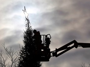 Luke Hendry/Intelligencer file photo
Ambrose McCambridge, an arborist with the City of Belleville, removes decorations from the Christmas tree in Market Square. The city is asking residents who feel they may have a tree which would be appropriate to be used in a public space to call city hall.