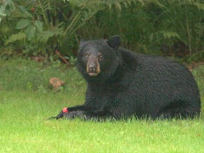 Sudbury Star Outdoors Photo Contest