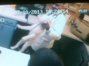 Still photo taken from a video submitted to the Ontario veterinary college.