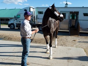 Tepin is at the top of the ticket in what's sure to be a big weekend at Woodbine. (Handout)