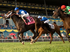 Jockey Julien Leparoux guides Tepin (8) to victory in the $1 million Ricoh Woodbine Mile yesterday. (Michael Burns/Photo)