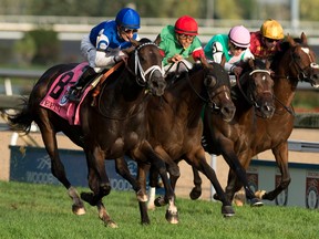 Tepin won the $1-million Woodbine Mile on Saturday night. (MICHAEL BURNS PHOTO)