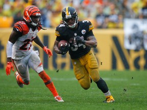 Pittsburgh's DeAngelo Williams has been on a tear the first two weeks. (AP)
