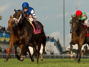 Jockey Julien Leparoux guides Tepin to victory in the Ricoh Woodbine Mile on Saturday. Tepin is owned by Robert Masterson and trained by Mark Casse.(Michael Burns/photo)