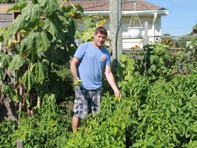 Arik Evers stands in  Maya's Village Corporate Charity Garden, a Mitton street green space that provides vegetables to two local food banks. 
CARL HNATYSHYN/SARNIA THIS WEEK