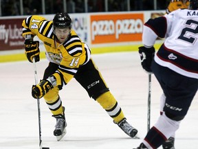 The fate of Sarnia's eight NHL draft picks, including Pavel Zacha, will determine how the Sting fare this year. The 2016-17 Ontario Hockey League season begins Wednesday night as the Sting host the London Knights at Progressive Auto Sales Arena at 7:05 p.m. (Terry Bridge/Sarnia Observer/Postmedia Network)