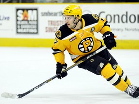 Seth Griffith of Wallaceburg was a 2015-16 first-team all-star in the American Hockey League with the Providence Bruins. (MOLLY MALONE/Providence Bruins)