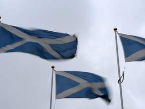 Scottish Saltire flags flutter in the breeze as they mark the border with England, near Berwick-upon-Tweed in northern England close to the border between England and Scotland on June 26, 2016. (AFP PHOTO/OLI SCARFFOLI SCARFF/AFP/Getty Images)