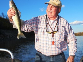 Neil hefts a fine NSR walleye. Neil Waugh