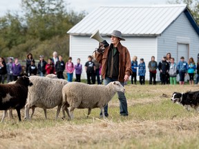 Kathy Playdon conducts a sheep herding demonstration during last year’s City Slickers at Heritage Park. Students from Edmonton visited Heritage Park to learn about agriculture and farming life as part of the City Slickers program - File Photo.