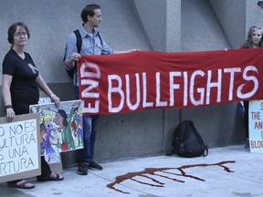 Toronto activists gather outside the Spanish Consulate on Bloor St to protest bullfighting on Friday September 23, 2016. Veronica Henri/Toronto Sun/Postmedia Network