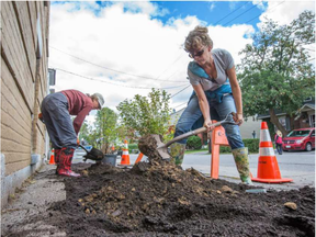 Susan Young, right, and Sabrina Mathews, part of a community group in Sandy Hill, prepare a portion of the garden beds that have replaced some of the asphalt sidewalk along Somerset St in an effort to green Somerset Street East.( WAYNE CUDDINGTON / POSTMEDIA)
