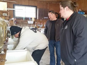 Chief Scott McLeod, background, watches as work is done at the Nipissing First Nation hatchery.
Photo courtesy of Nipissing First Nation