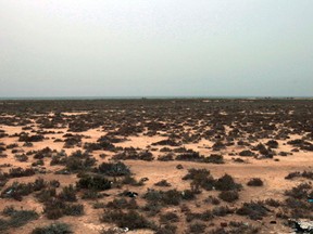 This Saturday, March 12, 2011 picture shows the desert outside the southeastern village of Ben Guerdane, Tunisia, close to the border with Libya. (AP Photo/Lefteris Pitarakis, File)
