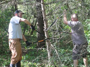 Daryl Countryman and Howard DeJong cut branches off a dead tree at Lawson Park on Saturday, Sept. 24, 2016. A team of volunteers began clearing the acre-sized space for a dog park beside the trail at Lawson Park. (MEGAN STACEY/Sentinel-Review)