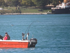 Anglers were on the water Saturday for the Bluewater Anglers’ Fall Big Fish Derby, but most of the fish stayed in the water, with only two landed as derby entries. (Neil Bowen/Sarnia Observer)