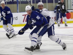 Toronto Maple Leafs' Mitch Marner and Tony Cameranesi are tied up during training camp at the BMO Centre in Halifax, N.S., on Sunday, Sept. 25, 2016. (THE CANADIAN PRESS/stringer)