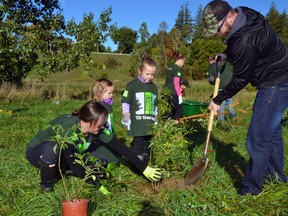 The whole Langis family got involved in the TD Tree Days event this past Saturday, Sept. 24. Pictured, while mom, Alexandra, and Dad, Josh, fill in the hole around the tree, their daughters, Sydney (left) and Ava, make sure they're doing a good job. There was no shortage of volunteers at the event at the Mitchell Husky Flax flats. Volunteers planted 150 trees and shrubs, including elderberry, chokecherry, hackberry, nannyberry, sycamore, white spruce and white cedar. GALEN SIMMONS MITCHELL ADVOCATE