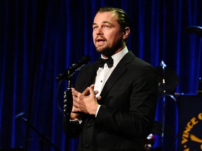 Leonardo DiCaprio. (Rob Rich/WENN.com)