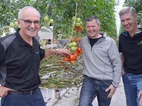 Angelo Ligori, plant manager with GreenField Specialty Alcohols, left, is working with Hilco Tamminga and Greg Devries from Truly Green Farms to install a CO2 and hot water system between their west Chatham facilities. They're investing nearly $8 million into the system, to be finished by the end of 2017.