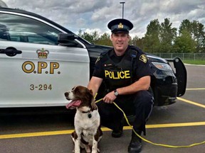 "Brody" the hound dog and a member of the Pembroke OPP