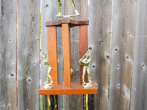 The Joe Hawkins Memorial Trophy, to be awarded to the inaugural winner of a best-of-three series between the champions of the Kingston Senior Men’s Baseball League and South Hastings Baseball League. (Julia McKay/The Whig-Standard)