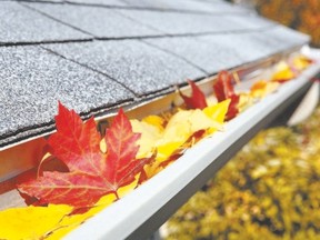 Before winter settles in, clean leaves from eavestroughs and roof, and test downspouts to ensure proper drainage from the roof.