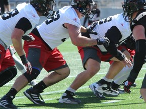 Redblacks offensive lineman Jason Lauzon-Seguin. (Julie Oliver, Postmedia Network)