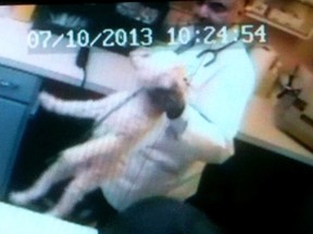 Still frame from video used as evidence against Dr. Mahavir Singh Rekhi by the College of Veterinarians of Ontario. Charges against the vet have been dropped. (Supplied photo)